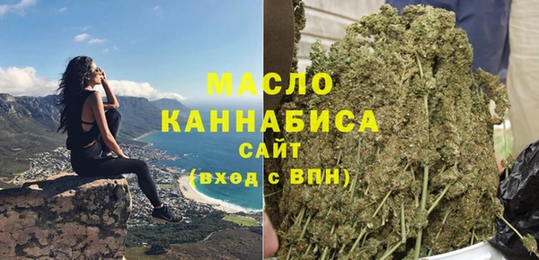 индика Нязепетровск