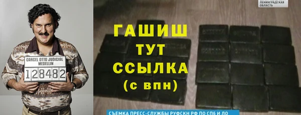 индика Нязепетровск