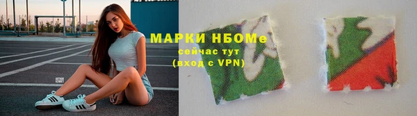 индика Нязепетровск