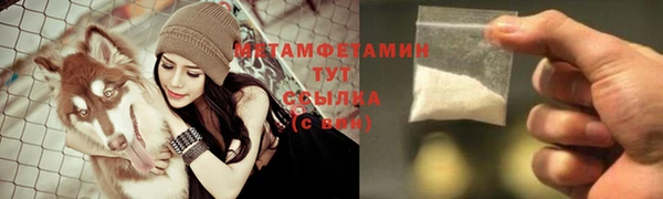 индика Нязепетровск