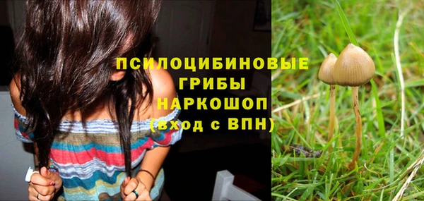 индика Нязепетровск