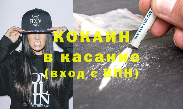 индика Нязепетровск