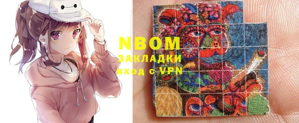 индика Нязепетровск