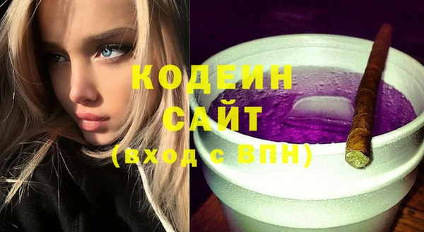 индика Нязепетровск