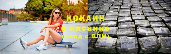 индика Нязепетровск