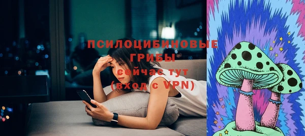 индика Нязепетровск