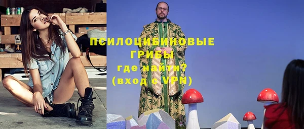 индика Нязепетровск