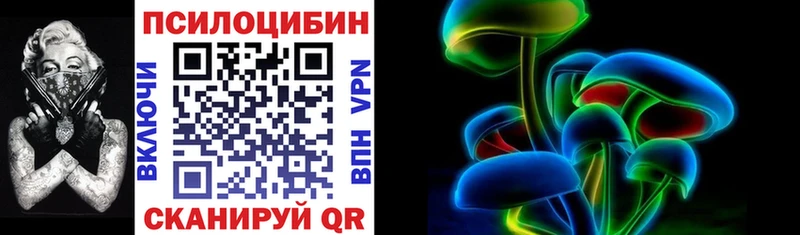 наркошоп Тайга Галлюциногенные грибы Magic Shrooms